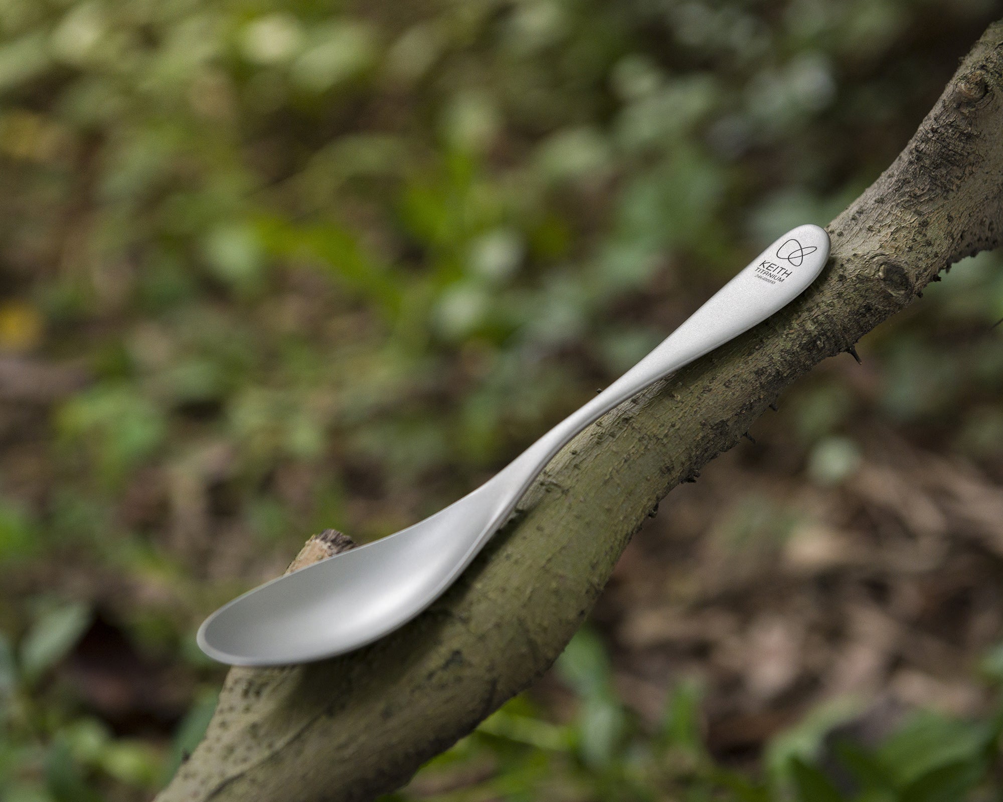 Couverts de Table en Titane-1
